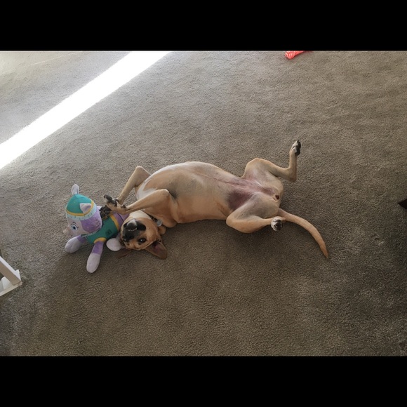 Meet your Posher, Tati - Picture 9 of 10